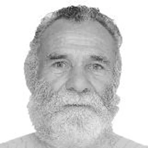 Pedro Mecanico