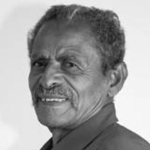 João Pintor