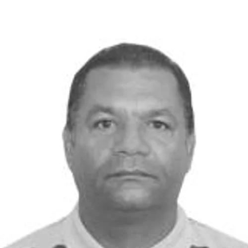 GAVIÃO