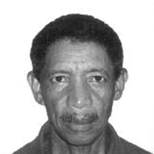 Papagaio