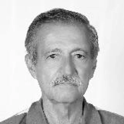 LUIS SERINGUEIRA