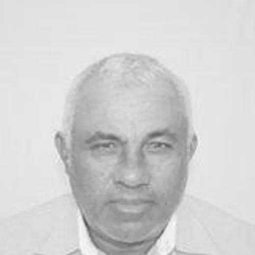ZECA EMPELEITEIRO