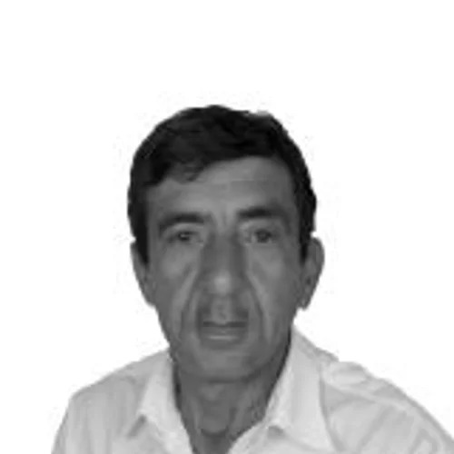 Zé Agulha