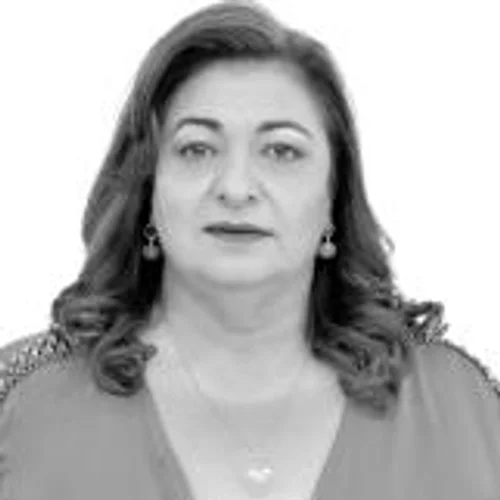 Cida Sandroni