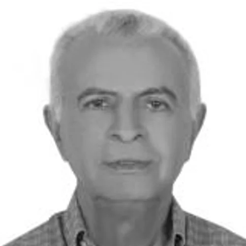 ERNANE BORBA