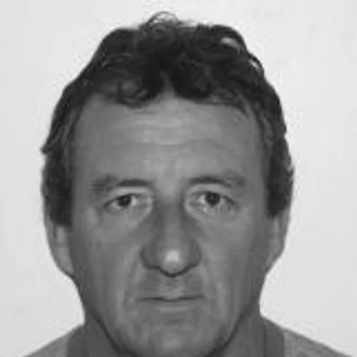 GERSON ROMANINI