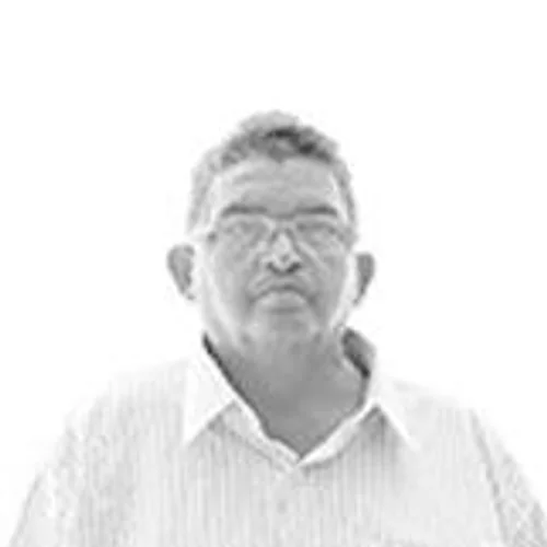 JOVELINO MARROM