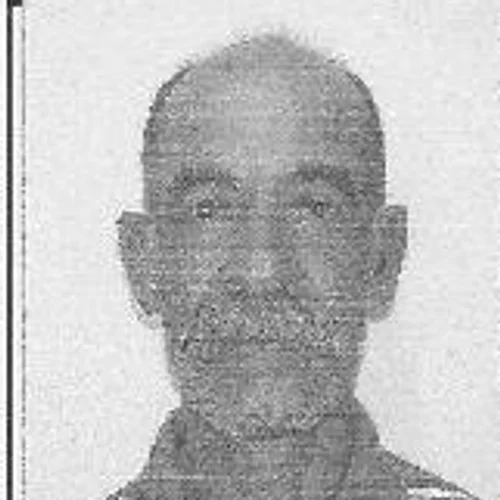 Bigode da Toyota