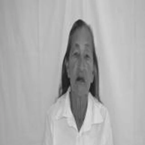 Professora Aldenora