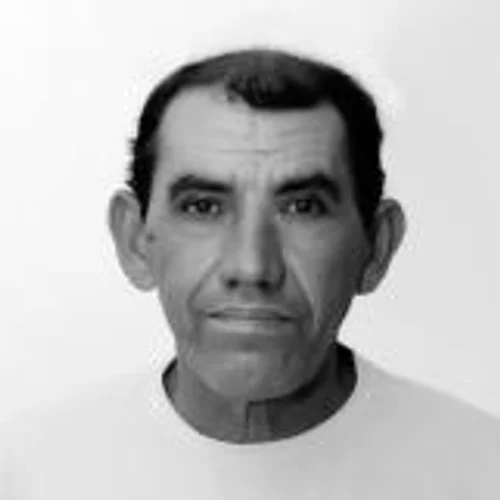 Wartão