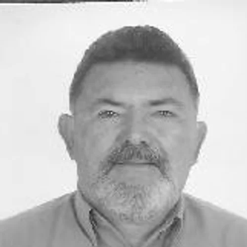 Vardivino