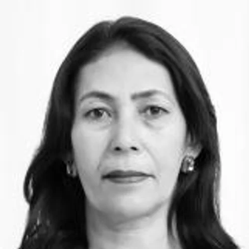 Van Enfermeira