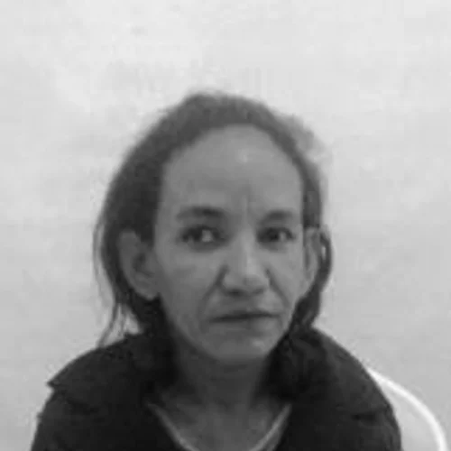 ROSA DA CADEIRA