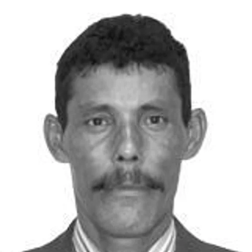 Paulinho