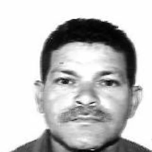 ZÉ RUI CAETANO