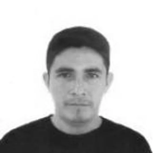 Naldo