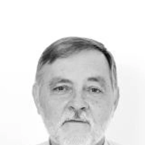 Professor Holdi