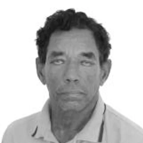 Sargento Herculano