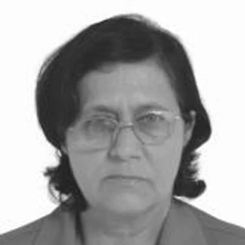 Irani da Pamonha