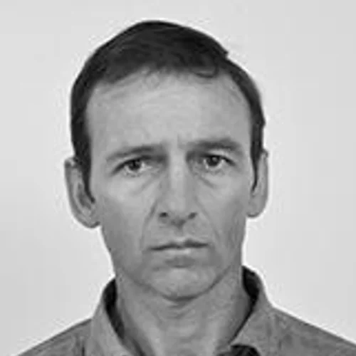 IRONE MENEGHINI