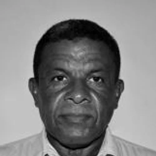 JOÃOZINHO GALO ROCO