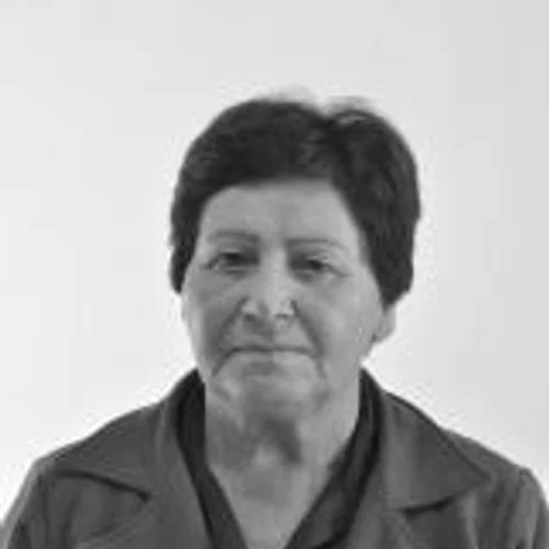 Alaides dos Santos Souza