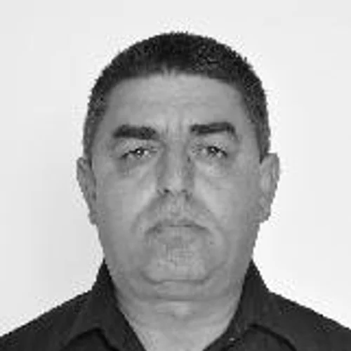 Ivo Jones (vaca)