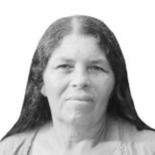 Nissinha