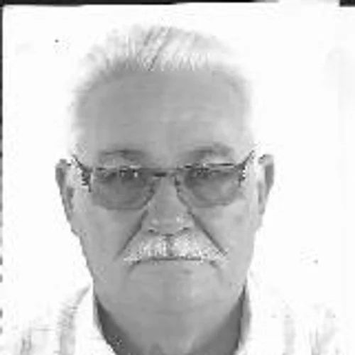 Chico Domingos