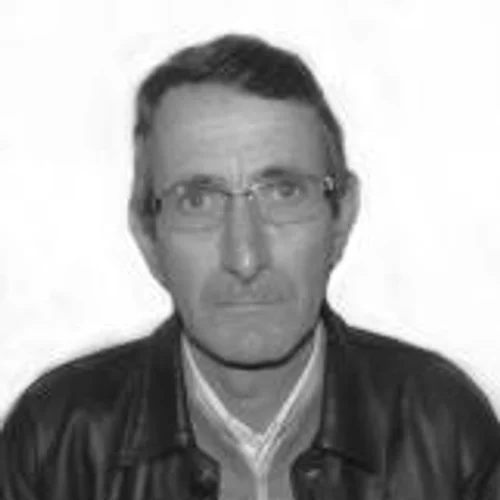 Pedro Ludwig
