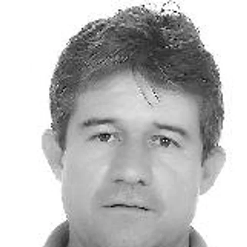 GELBER GALEGO