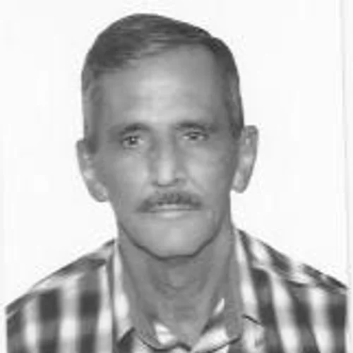 Zé Periquito