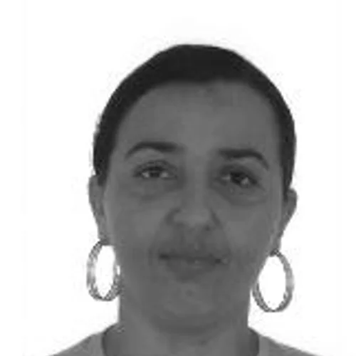 Rosa de Orlando