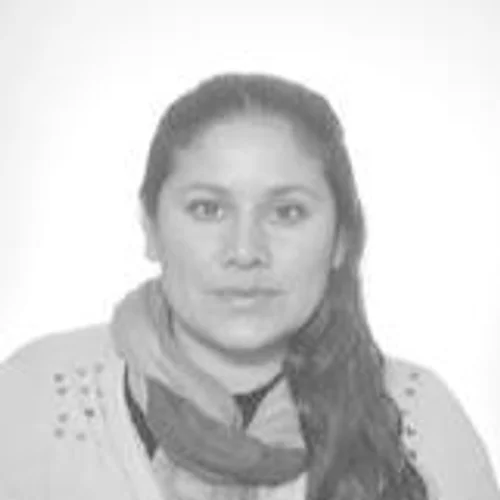 ROSELEI PEREIRA