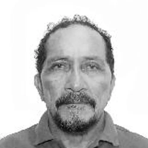 Gavião
