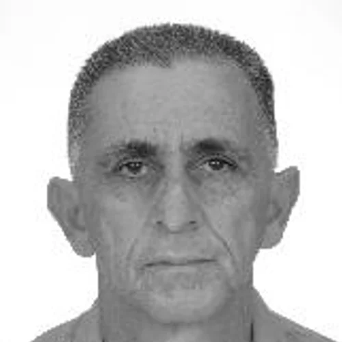 ZÉ DO JUCA GINO