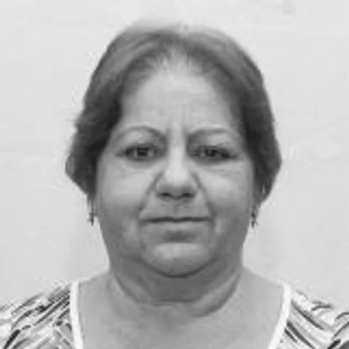 Sueli Lara