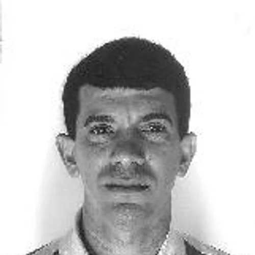 GAVIÃO