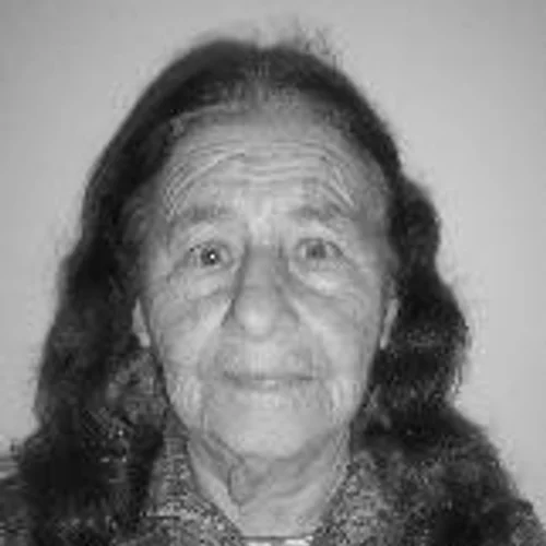 Ana Sessete