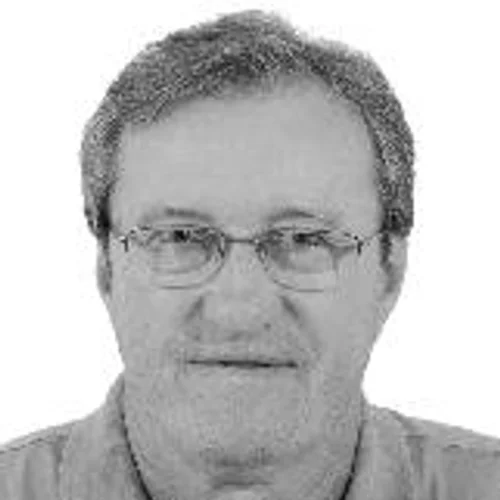 Raul Schiller