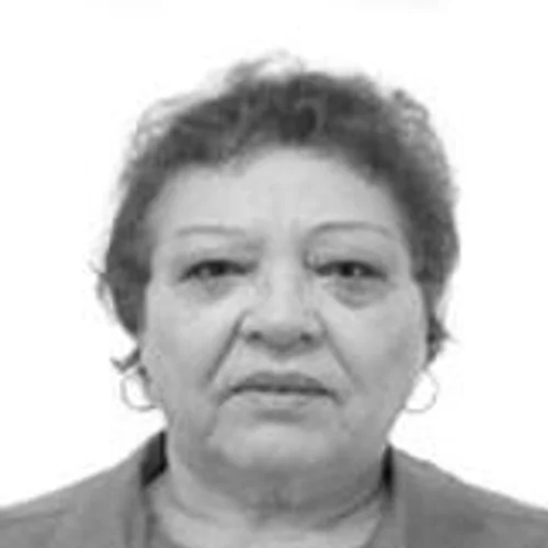 INEZ ALVES VIVEIROS
