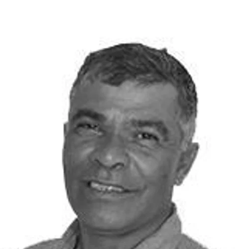 ZÉ DOMINGOS