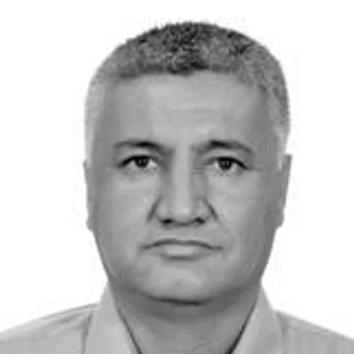 ARI PEREIRA