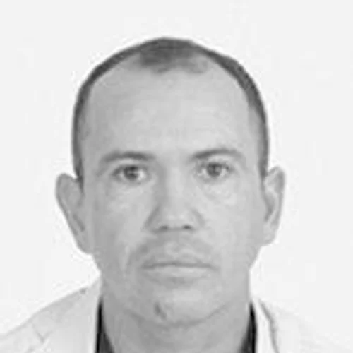CELINO PÉ DE PORCO