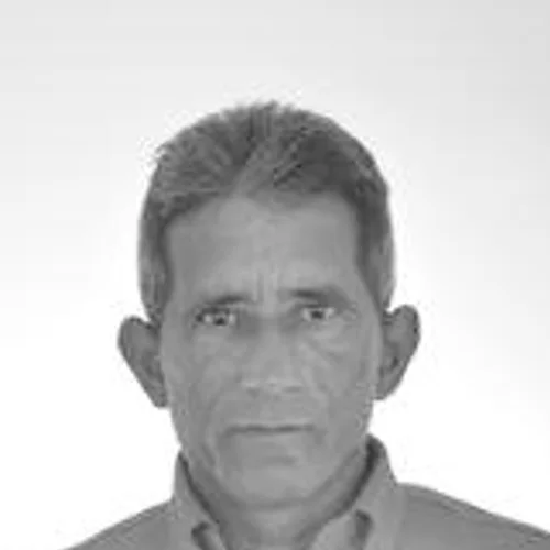 Cesinha