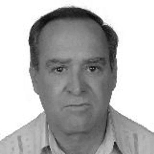 Zé Luis Passalini