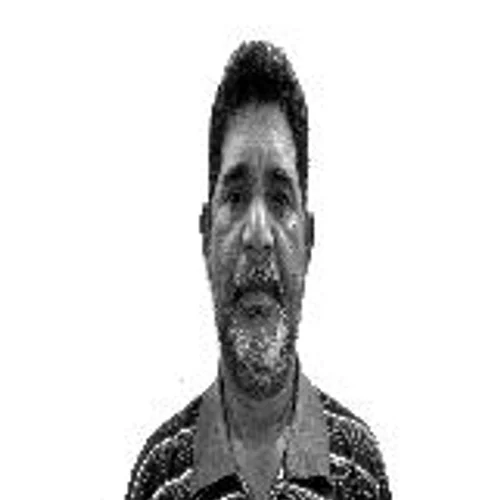 ADELINO