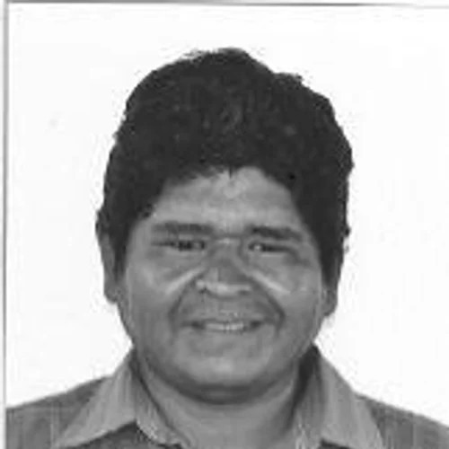 Andre do Sucuba