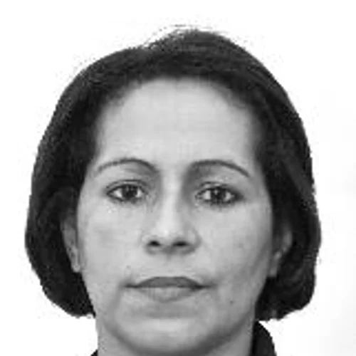 SHIRLEI PIRES