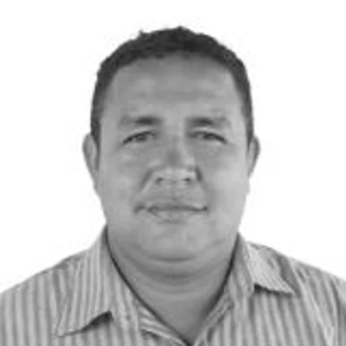 Palheta